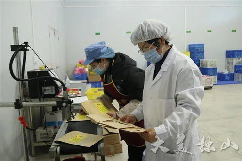 獨(dú)山縣小微企業(yè)商會(huì)獲“四好”榮譽(yù)，食品互聯(lián)網(wǎng)銷售成創(chuàng)新亮點(diǎn)