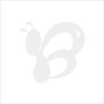 提供 企業(yè)宣傳,產(chǎn)品宣傳,影視廣告,短片,微電影 宣傳片制作價格 廠家 圖片